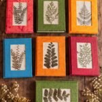 The Pressed Flower Diary by DBM