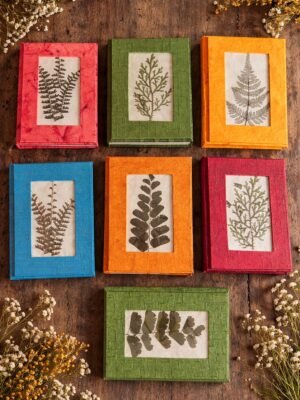 The Pressed Flower Diary by DBM