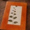 The Pressed Flower Diary-Orange
